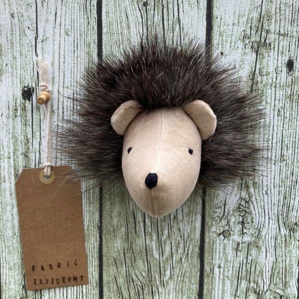 Wall mounted Hedgehog head