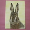 SALE Hare ACEO