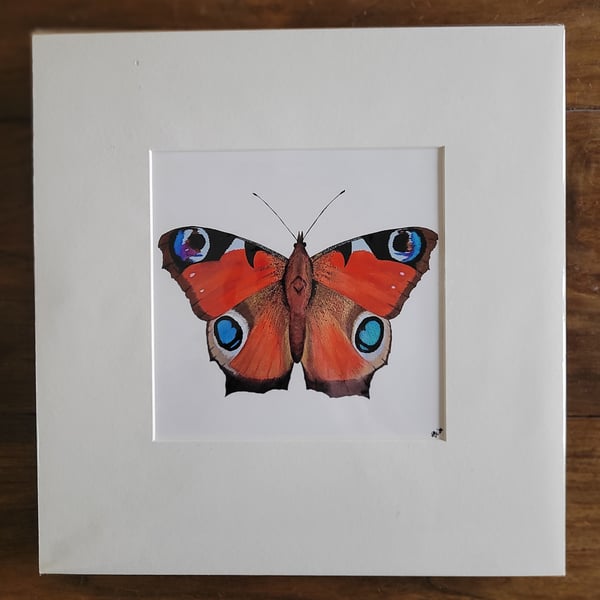 Large Square Peacock Butterfly Print