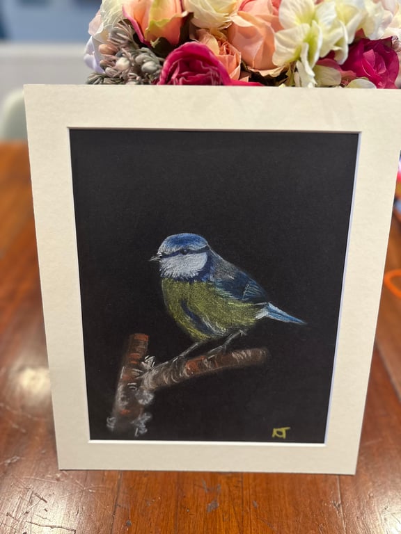 Original Chalk Pastel Painting - Bluetit - Garden birds - Framed 