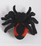 Jumping spider  - Image 4