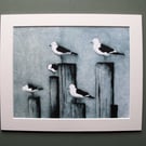 Fine Art Print Gulls