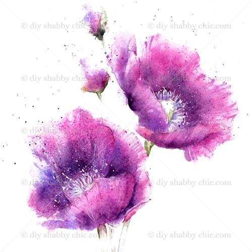 Waterslide Furniture Decal Vintage Image Transfer Shabby Chic Watercolour Poppy