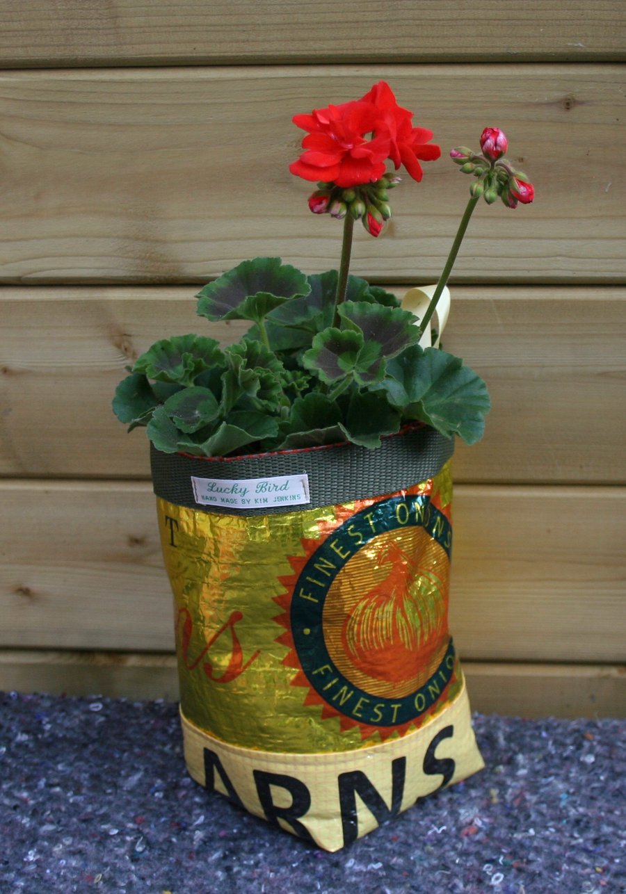 Recycled Onion Net Planter or Tidy