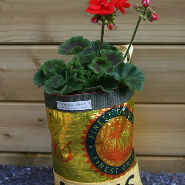 Recycled Onion Net Planter or Tidy