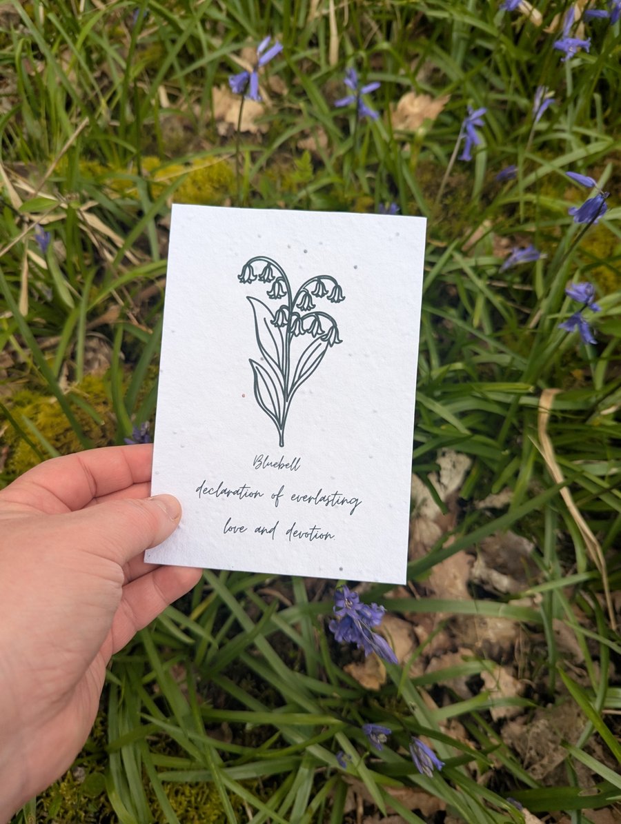 Plantable Bluebell Seed Paper Print - Wildflower Botanical Art, Love Symbol (A6)