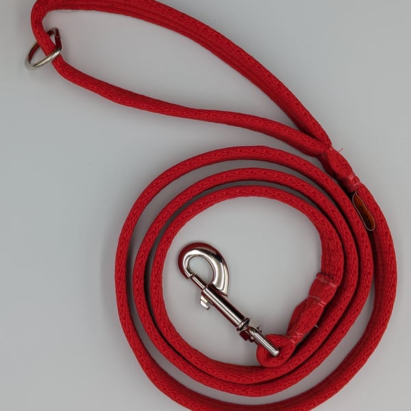 Regular Dog Walking Lead