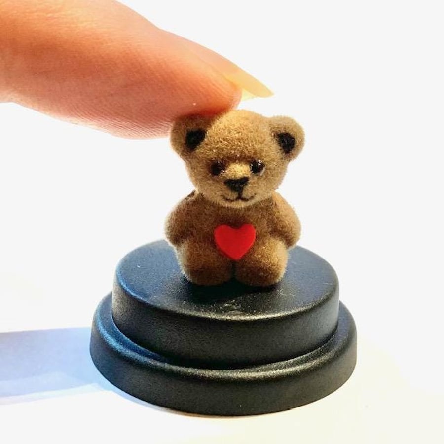 Pet Tiny Teddy, Teddy gift, Teddy Bear,  Miniature Bear