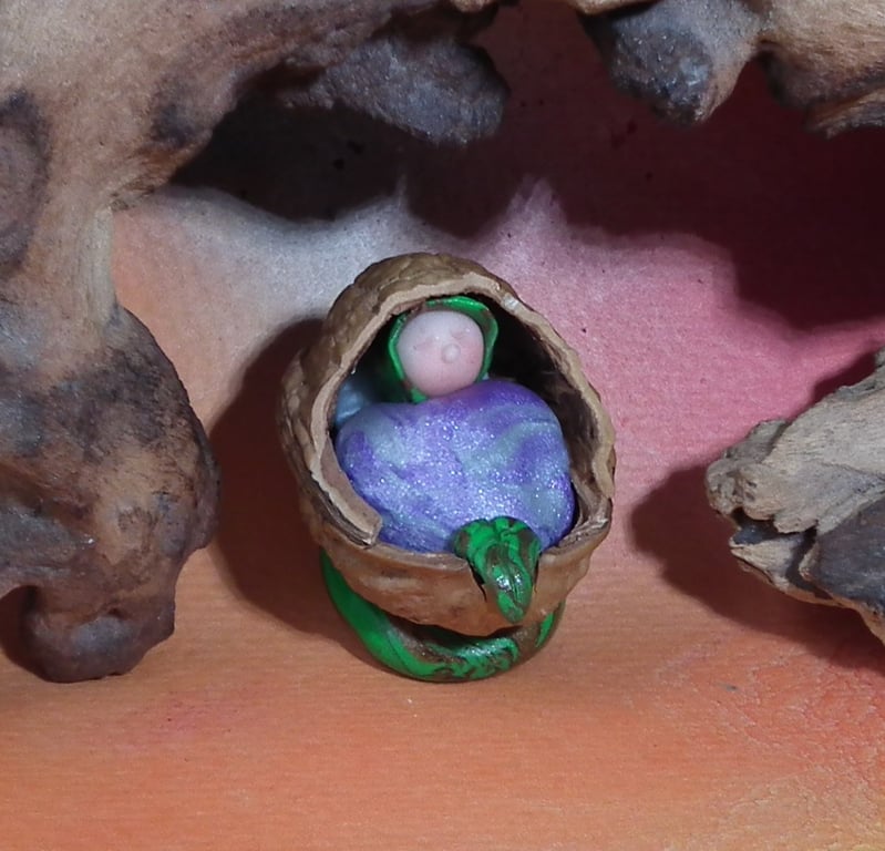 Tiny Baby Gnome 'Cimmi' in walnut shell crib OOAK by Ann Galvin