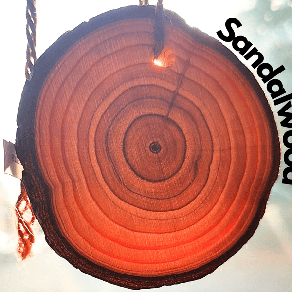 Sandalwood Car Air Freshener. Wooden slice with long-lasting fragrance. Handmade