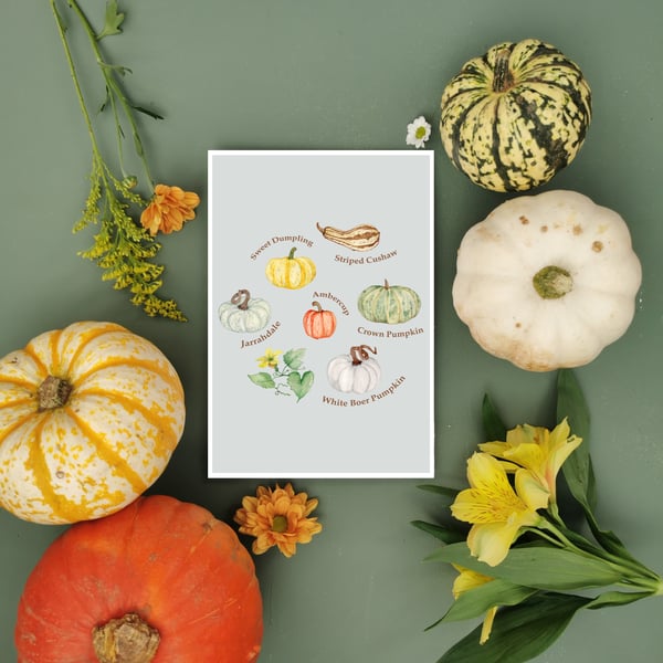 Autumn Squash Print, Thanksgiving Art, Fall Home Decor, Autumnal Art, Squash,