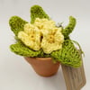 Small Crochet Primrose in a Terracotta Pot - Alternative to a Card 