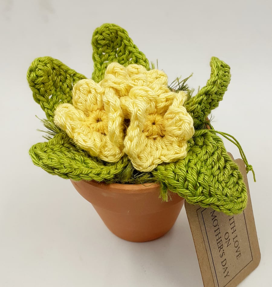 Small Crochet Primrose in a Terracotta Pot - Alternative to a Card 