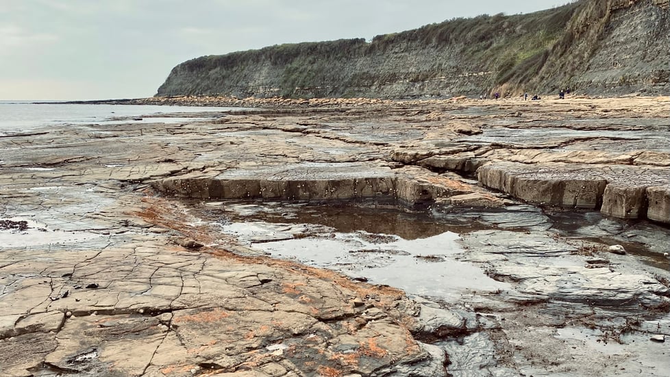 Ruth Readman Ceramics
