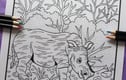 A4 Printable Colouring Pages