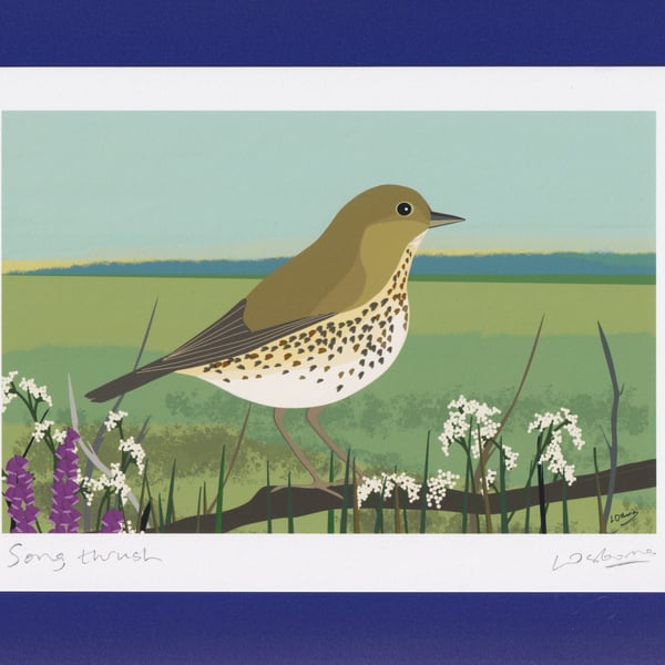 Song thrush - A5 bird art print - garden birds