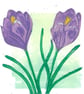 An original handprinted linoprint of Crocuses - Image 2