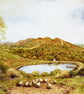 Malvern Resevoir. Signed Special Edition Print 