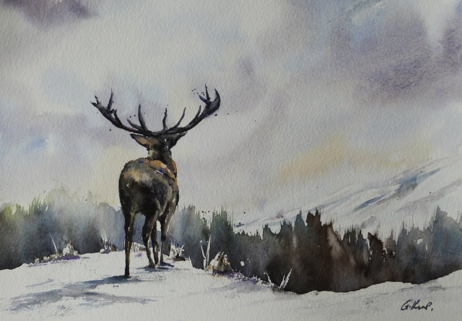 Stag View, Original Watercolour Painting.