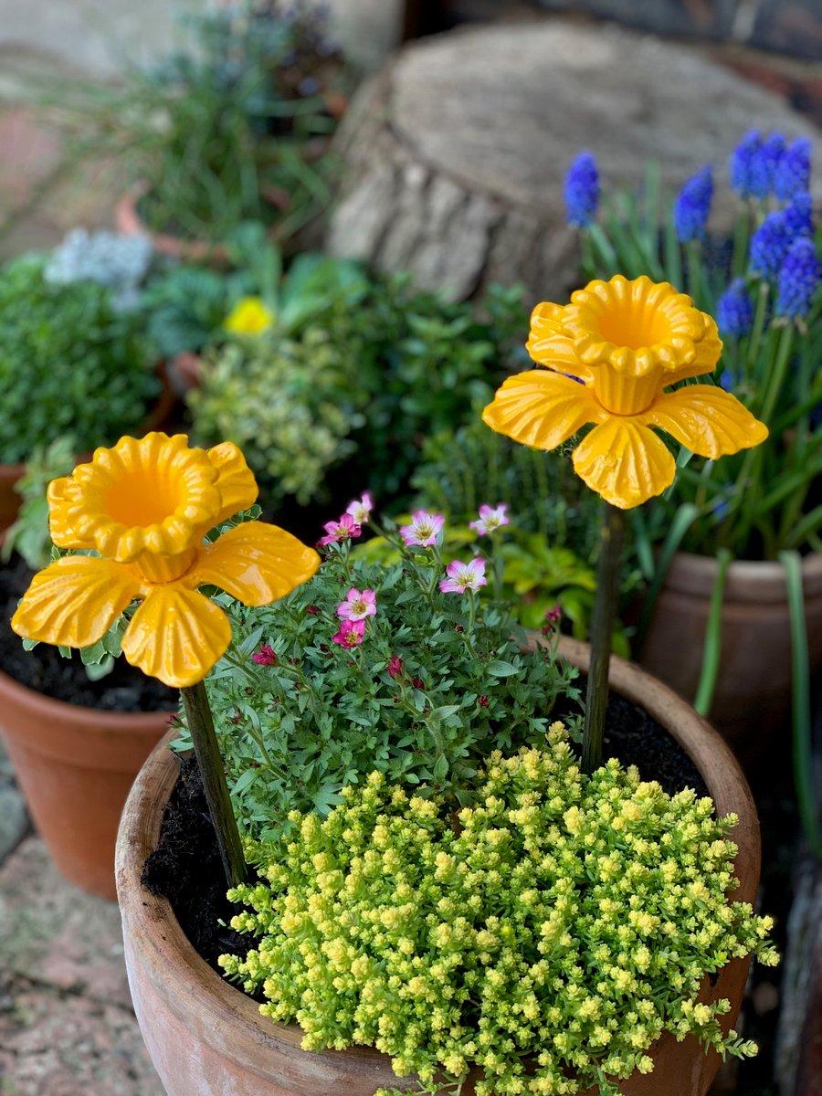 Handmade Yellow Daffodils 