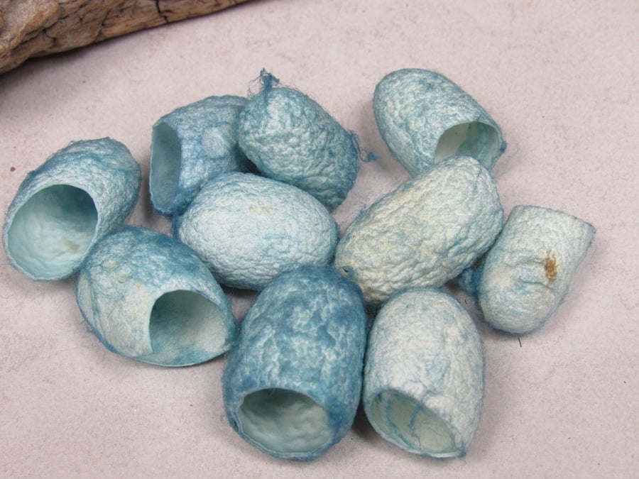 10 Light Indigo Blue Naturally Dyed Silk Cocoons