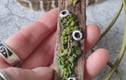 Woodland Fungi Jewellery