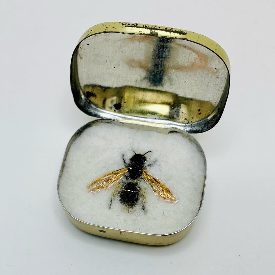 Bee 201, Andrena floricola - Female Chilterns Mini-miner.