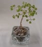 Peridot Gemstone Tree. - Image 4