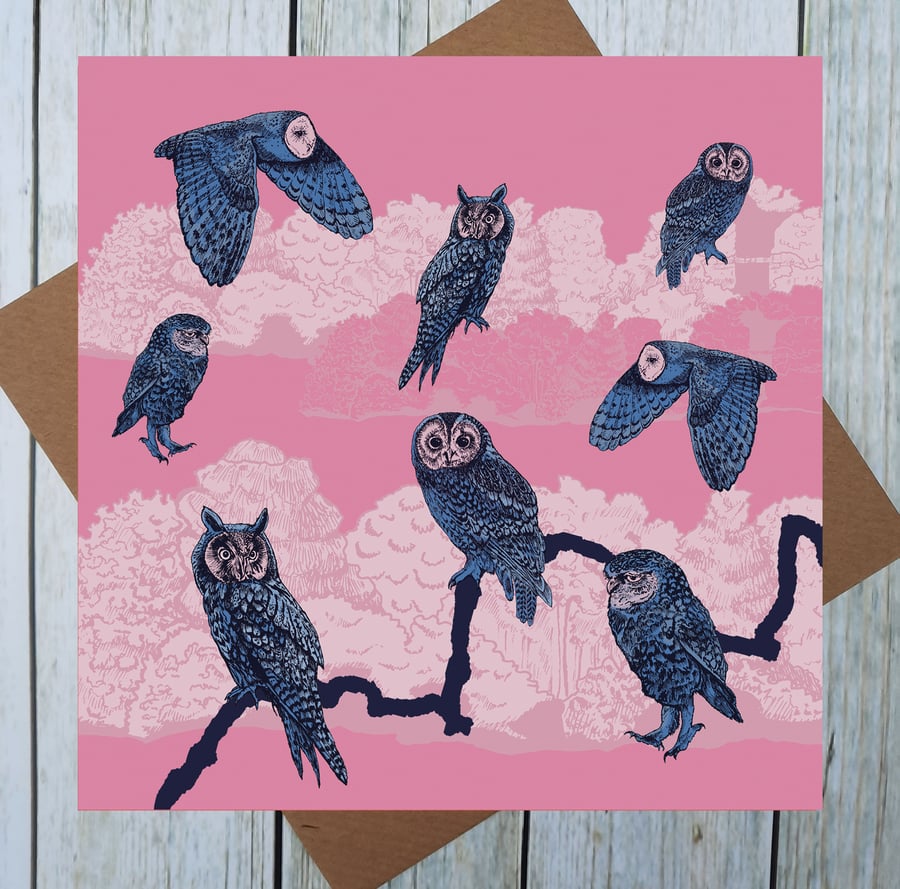 Owl Card - Blank Bird Card - Any Occasion Animal Card
