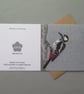 Great Spotted Woodpecker card - Image 4