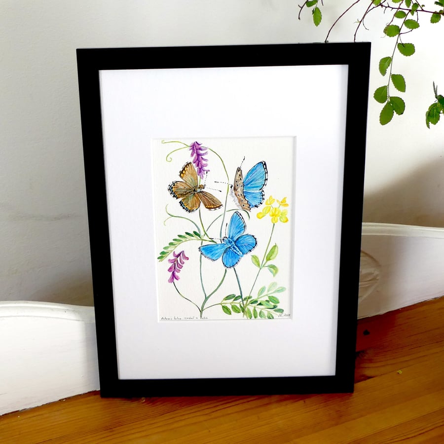  Framed Butterfly and Wild Flower Watercolour Original Painting