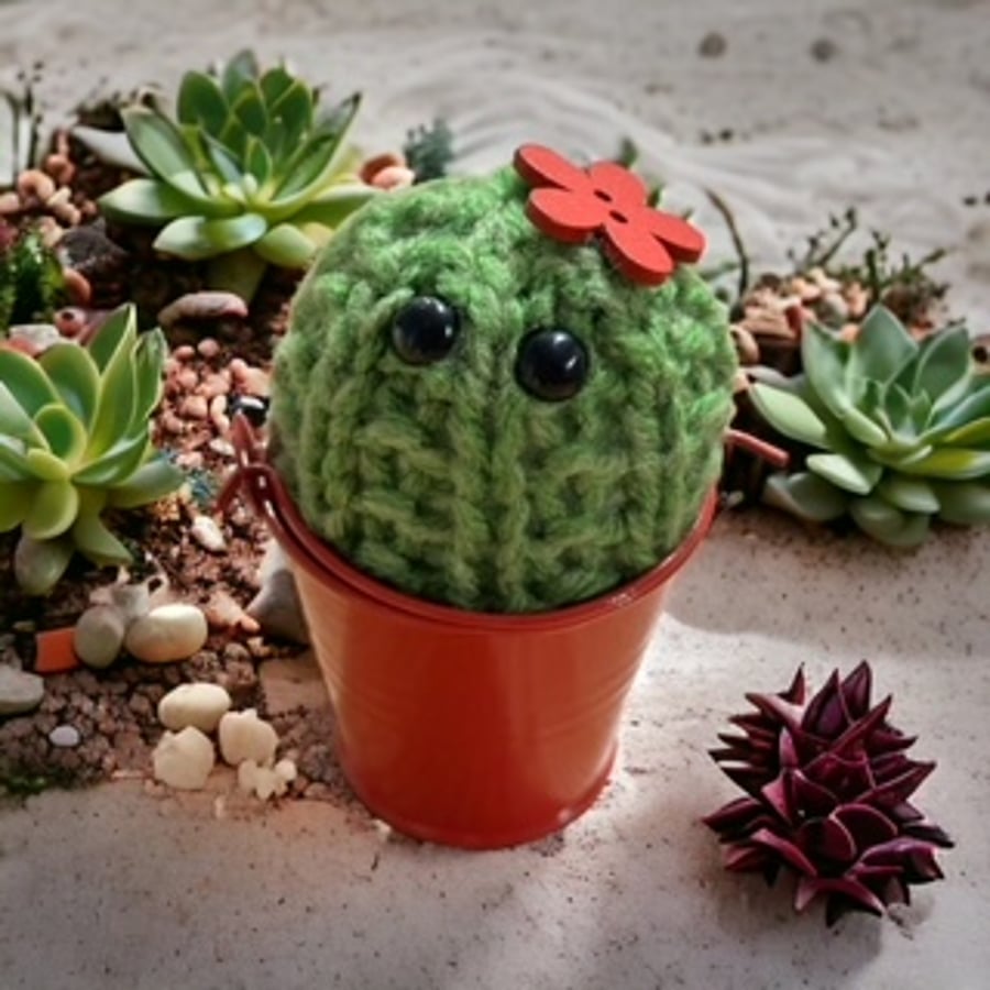 Red Handmade knitted Cactus Metal Bucket Wooden Flower - Gifts - Plant Lovers
