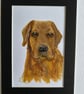 Original painting Labrador 5x7" portrait  - Image 2