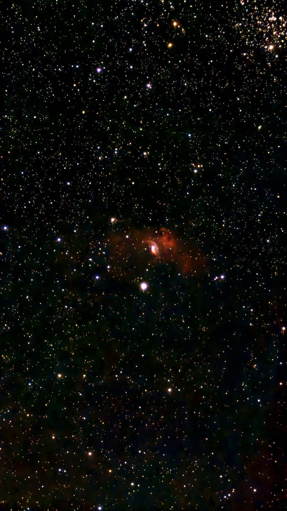 Waning Crescent Boutique