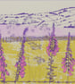 Flowering Foxgloves pink, original hand-pulled screen print