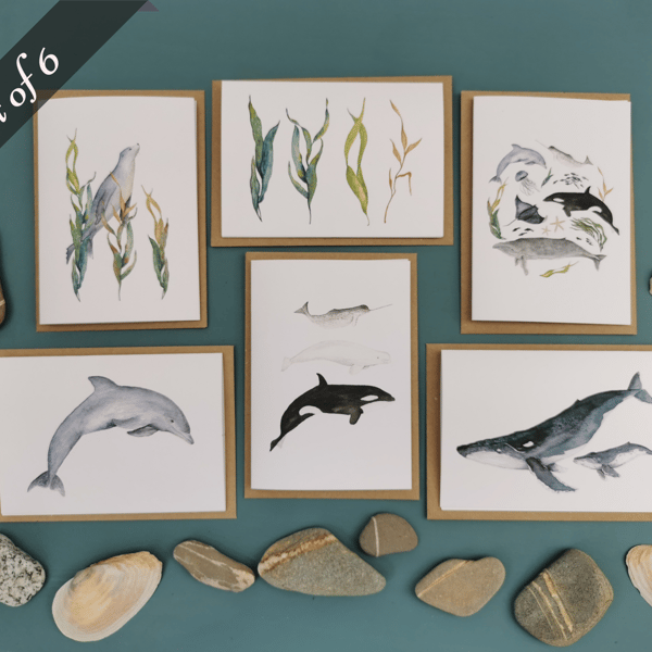 Set of 6 Marine Animals Greetings Cards, Whale Cards