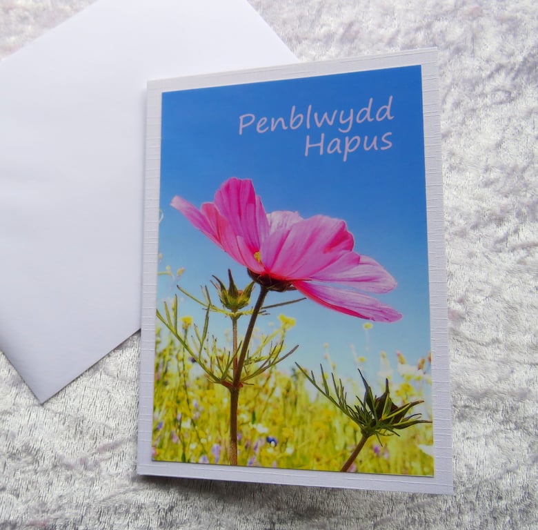 Penblwydd Hapus, welsh greetings, birthday card