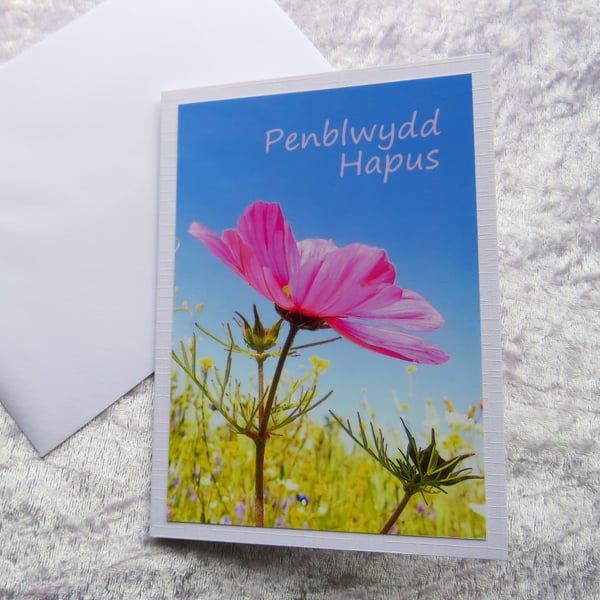 Penblwydd Hapus, welsh greetings, birthday card