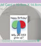 Rude Balloons Birthday Card - Willy A6 10.5cm x 14.8cm - Image 2