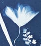 Ikebana style meets Botanical Cyanotype Art, Original Art.  - Image 4