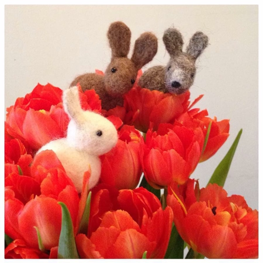 Bunny needle felting kit make 2 bunnies great beginners kit