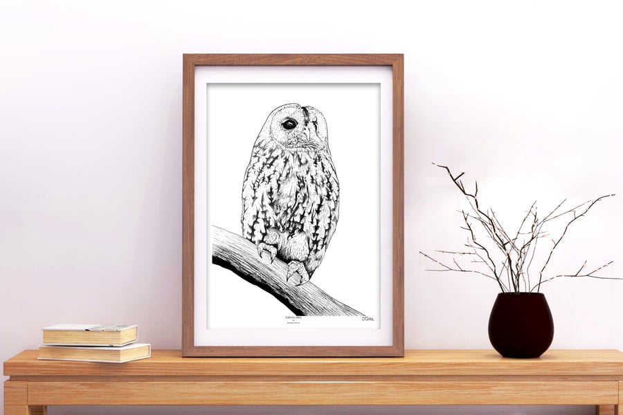 Owl Art Print - 'Tawny Owl' - A5 A4 A3 Wildlife Art Print
