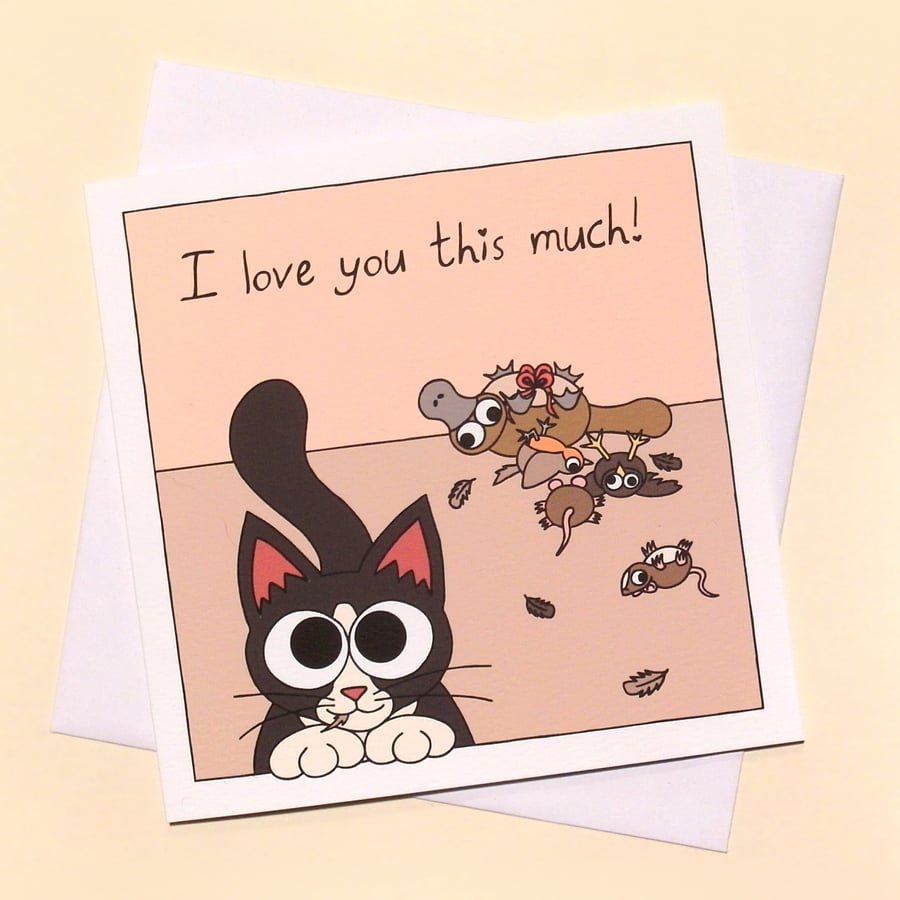 Card from the Cat. Funny love card for any occasion for cat lover Q-CTG