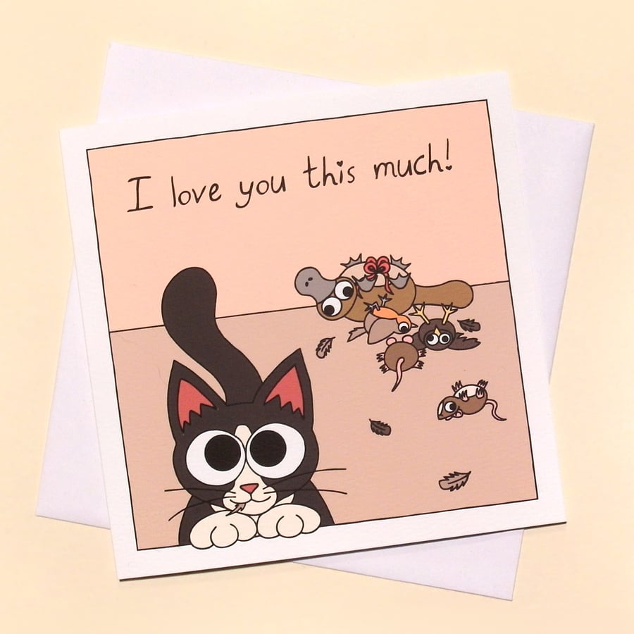 Card from the Cat. Funny love card for any occasion, cat lover Q-CTG