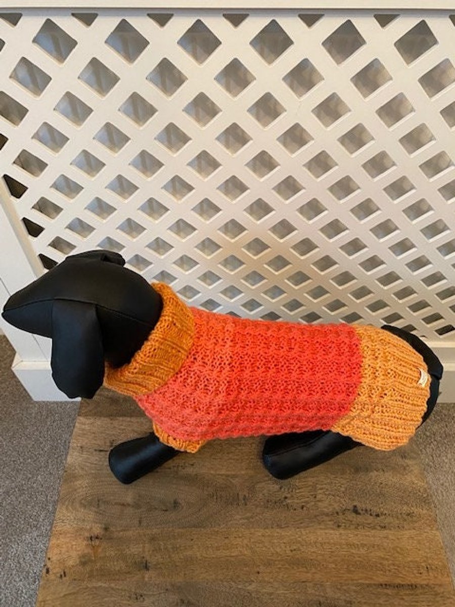 Dog Jumper - Ideal for a Miniature Dachshund or Small Dog