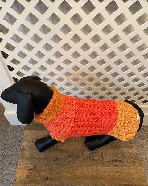 Dog Jumper - Ideal for a Miniature Dachshund or Small Dog