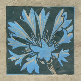 Cornflower mini linocut print