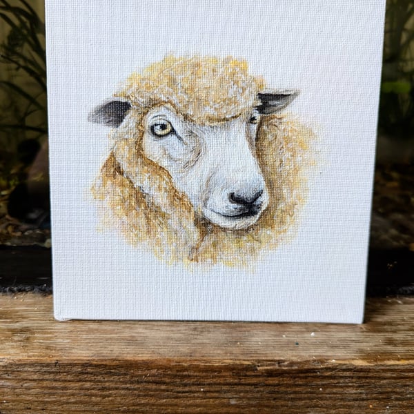 Romney Ewe Sheep Acrylic Portrait Painting 
