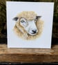 Romney Ewe Sheep Acrylic Portrait Painting  - Image 1