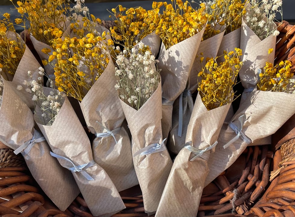 IMP Designs & Confetti